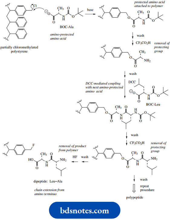 Amino Acids Peptides And Proteins Peptide Synthesis On Polymeric Support