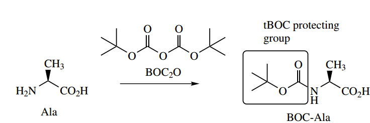 Amino Acids Peptides And Proteins Protection Of Amino Group tBOC