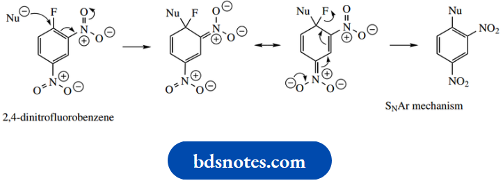 Amino Acids Peptides And Proteins Sanger Reagent