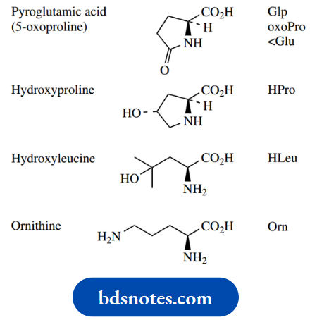 Amino Acids Peptides And Proteins Some Common Amino Acids Not Encoded By DNA