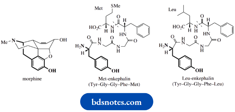 Amino Acids Peptides And Proteins Stereochemistry