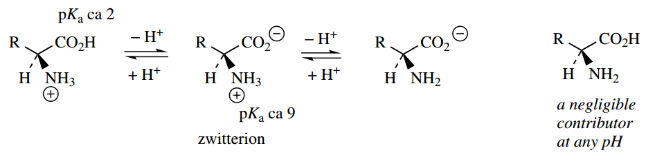 Amino Acids Peptides And Proteins Zwitter Ion