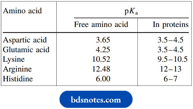 Amino Acids Peptides And Proteins pKa Values For Free And Protein Bound Amino Acids