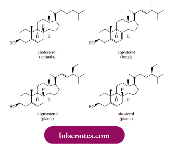 Electrophilic Reactions Electrophilic Alkylation In Steroids Ide-Chain Biosynthesis