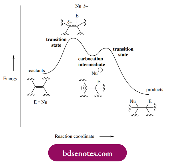 Electrophilic Reactions Energy Profile Electrophilic Addition Reaction