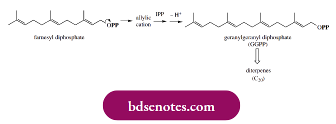 Electrophilic Reactions Farnesyl Diphosphate; This Can Subsequently Yield Geranylgeranyl Diphosphate.
