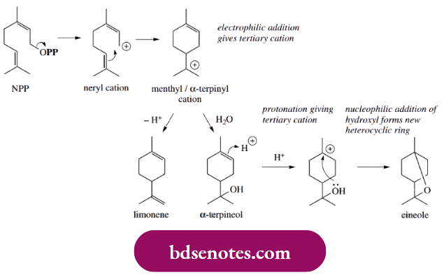 Electrophilic Reactions Geranyl Diphosphate Ionizes To The Resonance-Stabilized Geranyl Carbocation