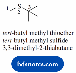Molecular Representations And Nomenclature 2-thiabutane
