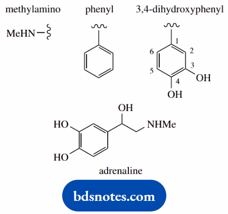 Molecular Representations And Nomenclature Adrenaline