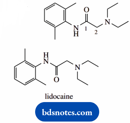 Molecular Representations And Nomenclature Lidocaine