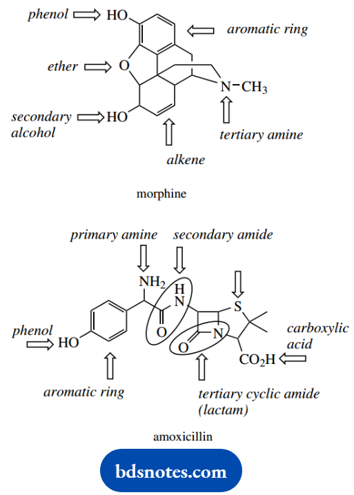 Molecular Representations And Nomenclature Primary and secondary amoxicillin