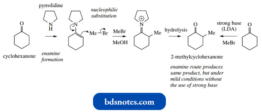 Nucleophilic Reactions Involving Enolate 2 Methylcyclohexanone
