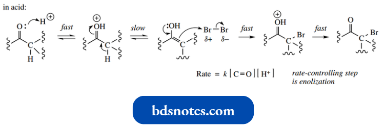 Nucleophilic Reactions Involving Enolate Acid Catalysed Halogenation