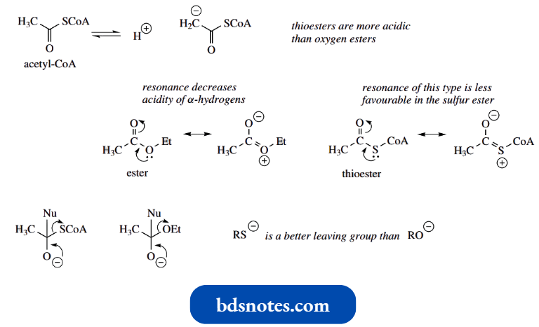 Nucleophilic Reactions Involving Enolate Aldol And Claisen Reactions