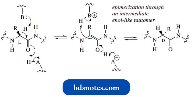 Nucleophilic Reactions Involving Enolate Anions Penicillin Antibiotics