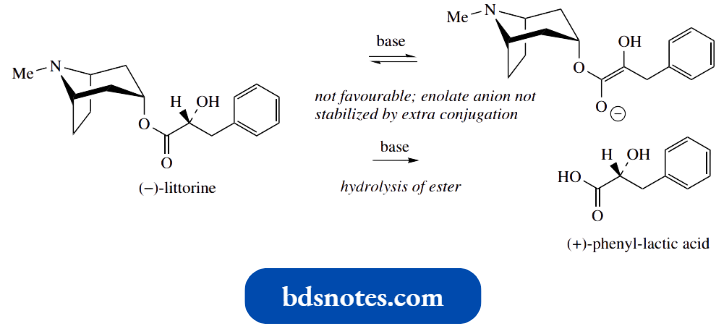 Nucleophilic Reactions Involving Enolate Anthocercis Littorea