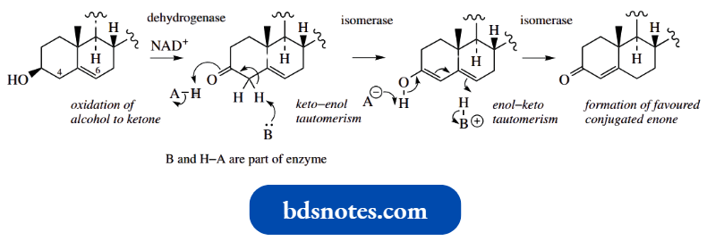 Nucleophilic Reactions Involving Enolate B And H Bond A Are Part Of Enzyme