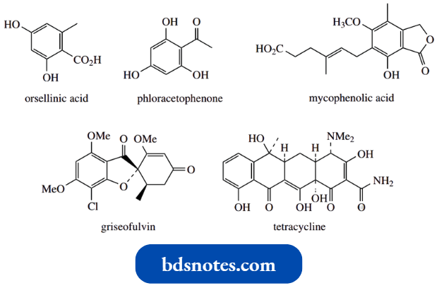 Nucleophilic Reactions Involving Enolate Biosynthesis Of Phenols