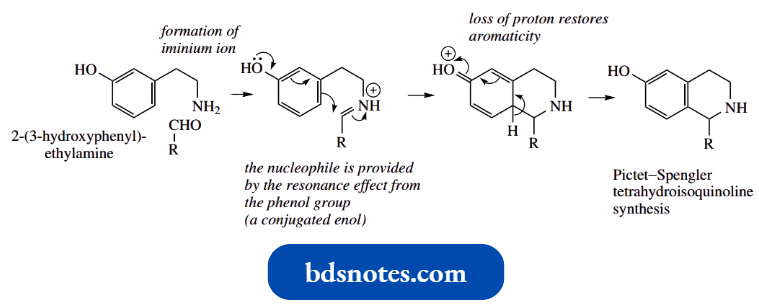 Nucleophilic Reactions Involving Enolate Biosynthesis Of Tetrahydroisoquinolines