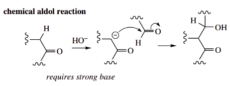 Nucleophilic Reactions Involving Enolate Chemical Aldol Reaction