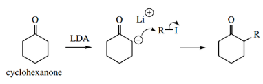 Nucleophilic Reactions Involving Enolate Cyclohexanone