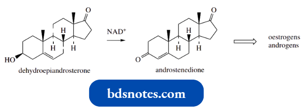 Nucleophilic Reactions Involving Enolate Dehydroepiandrosterone And Dehydroepiandrosterone