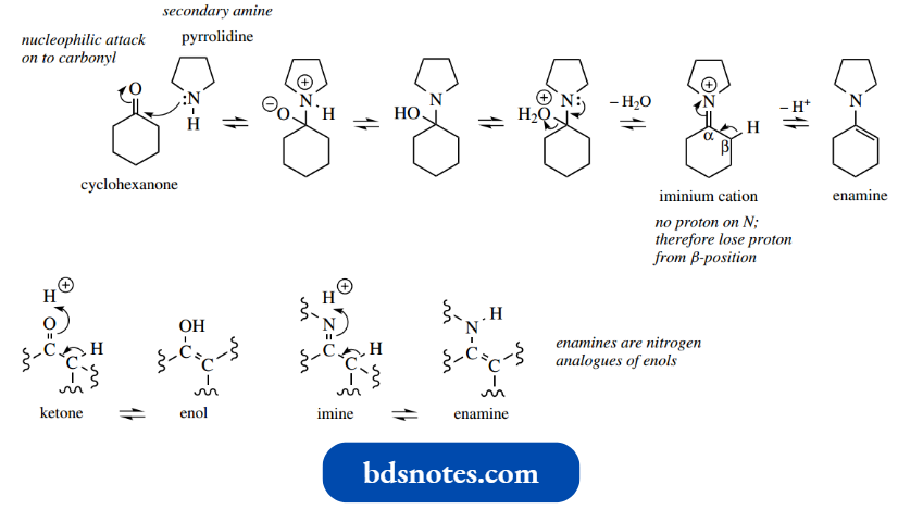 Nucleophilic Reactions Involving Enolate Enamines As Nucleophiles