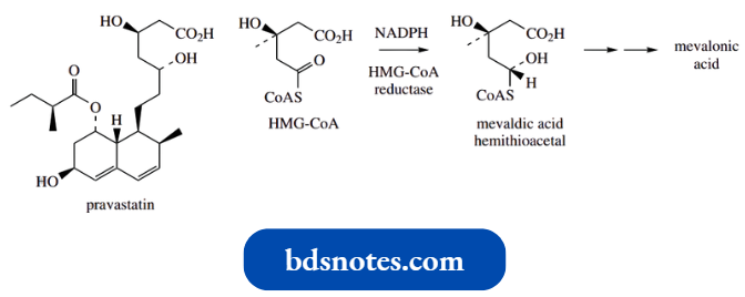 Nucleophilic Reactions Involving Enolate HMG CoA Reductase