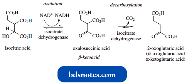 Nucleophilic Reactions Involving Enolate Isocitrate Dehydrogenase