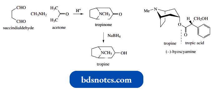 Nucleophilic Reactions Involving Enolate Mannich Reaction The Synthesis Of Tropine