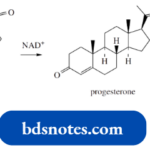 Nucleophilic Reactions Involving Enolate Pregnenolone And Progesterone