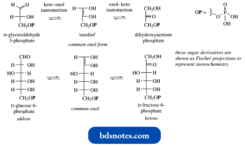 Nucleophilic Reactions Involving Enolate Tautomerism