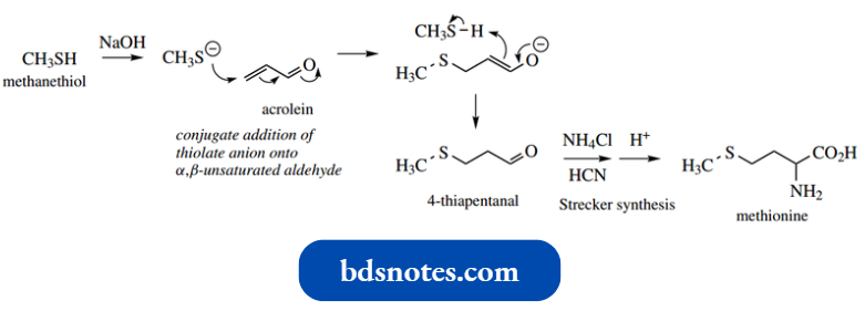 Nucleophilic Reactions Involving Enolate The Nitrile Function To A Carboxylic Acid