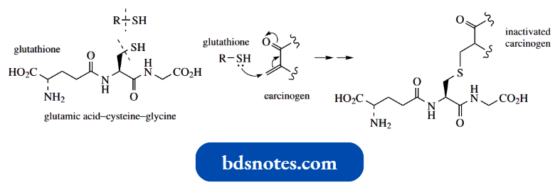 Nucleophilic Reactions Involving Enolate This Rather Important Compound Is The Tripeptide Glutathione