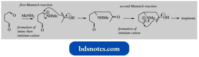 Nucleophilic Reactions Involving Enolate Two Mannich Reactions Are Involved