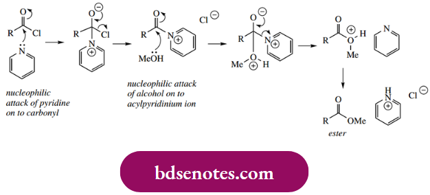 Nucleophilic Reactions Of Carbonyl Groups A Nucleophilic Catalyst, Forming An Intermediate Acylpyridinium Ion