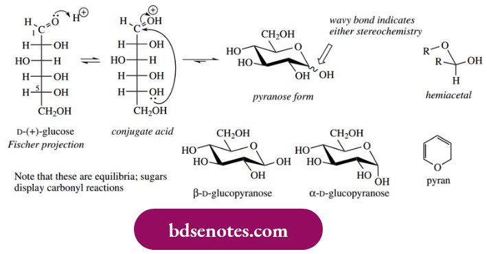 Nucleophilic Reactions Of Carbonyl Groups A Vast Range Of Natural Sugars