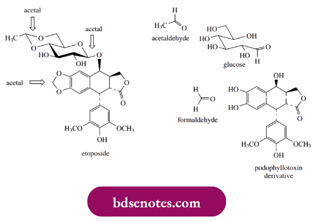 Nucleophilic Reactions Of Carbonyl Groups Acetal Linkages In Etoposide