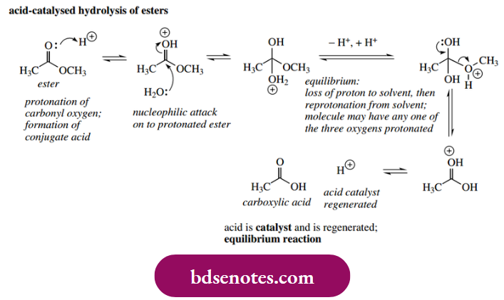 Nucleophilic Reactions Of Carbonyl Groups Acid-Catalysed Hydrolysis Of Esters