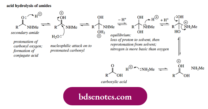Nucleophilic Reactions Of Carbonyl Groups Acid Hydrolysis Of Amides