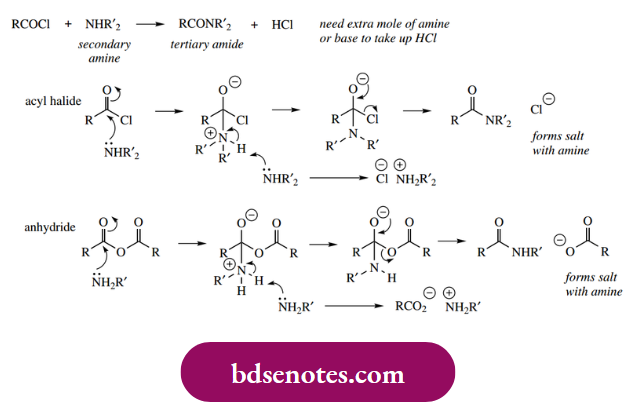 Nucleophilic Reactions Of Carbonyl Groups Acyl Halides And Anhydrides
