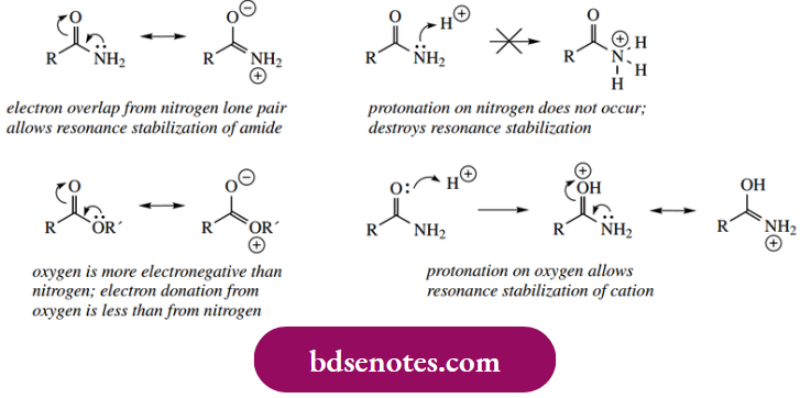 Nucleophilic Reactions Of Carbonyl Groups Amides May Be Hydrolysed To Carboxylic Acids