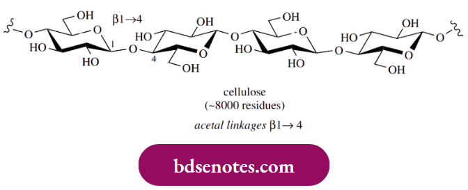 Nucleophilic Reactions Of Carbonyl Groups Amylopectin Is A Much Larger Molecule