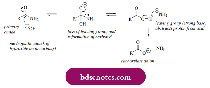 Nucleophilic Reactions Of Carbonyl Groups Base Hydrolysis Of Amides