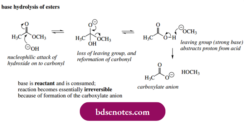 Nucleophilic Reactions Of Carbonyl Groups Base Hydrolysis Of Esters