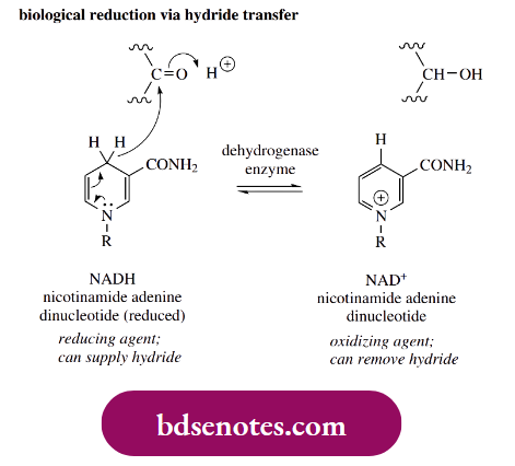 Nucleophilic Reactions Of Carbonyl Groups Biological Reduction Via Hydride Transfer