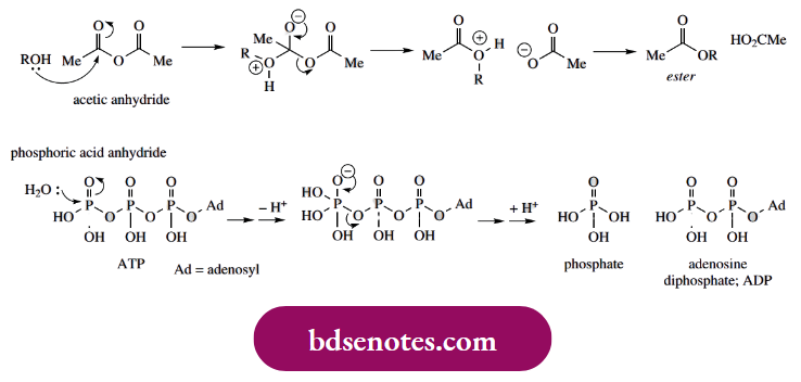 Nucleophilic Reactions Of Carbonyl Groups Carboxylic Acid Anhydride