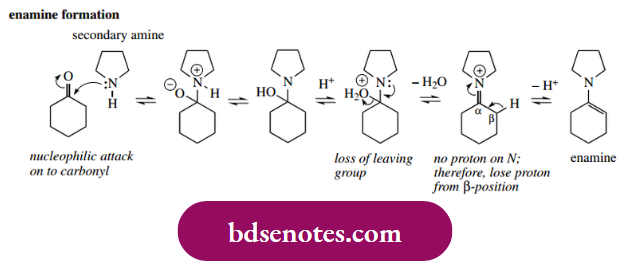 Nucleophilic Reactions Of Carbonyl Groups Enamine Formation