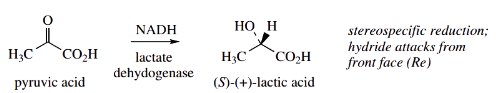 Nucleophilic Reactions Of Carbonyl Groups Enzymic Reduction Utilizing NADH