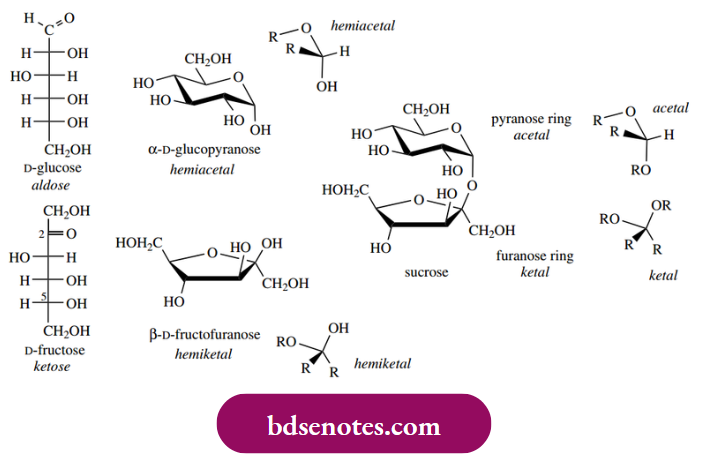 Nucleophilic Reactions Of Carbonyl Groups Glucopyranose Is A Hemiacetal Derived From The Aldehyde-Containing Sugar Glucose